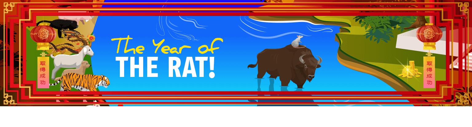 year of the rat